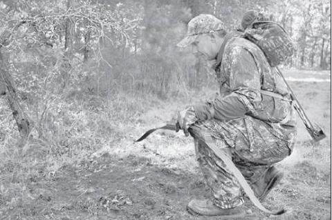 Archery season for deer, bear now open