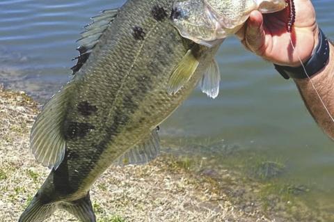 Latest Fishing Report For Oklahoma Waters