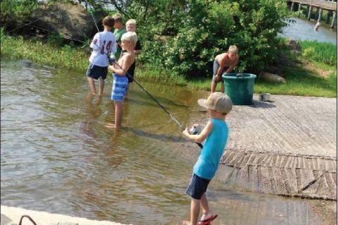 Article Image Alt Text