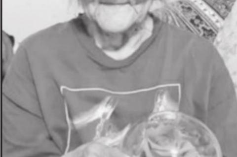 Article Image Alt Text