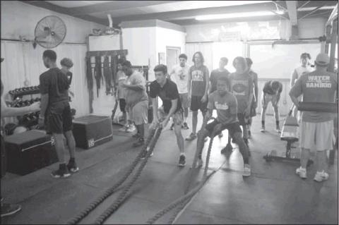 Article Image Alt Text