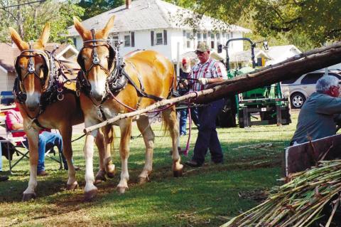 Article Image Alt Text