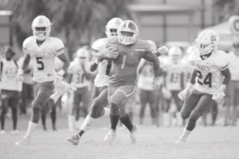 Avoid Head Injuries During Sports Play