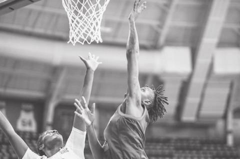 Article Image Alt Text