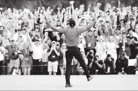 Article Image Alt Text