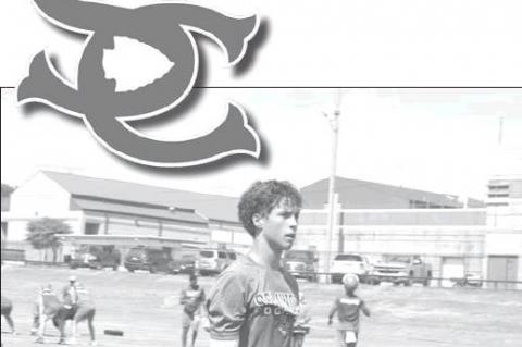 Article Image Alt Text