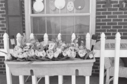 Easter Curb Appeal…