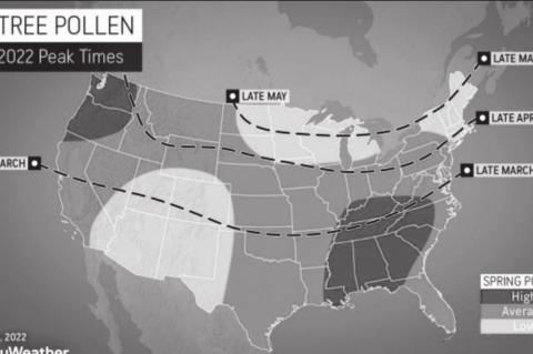 AccuWeather’s 2022 US Spring Allergy Forecast
