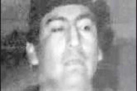 Article Image Alt Text