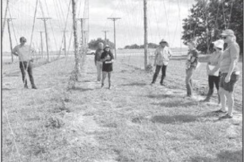 Oklahoma State University Researchers  Seek to Make Hops a New Oklahoma Crop