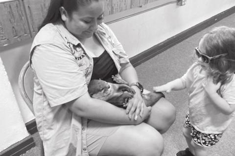 Library Invites ‘Extreme Animals’ to Municipal Building