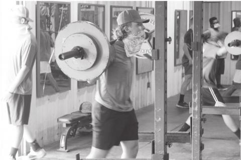 Article Image Alt Text