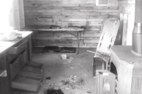 Article Image Alt Text