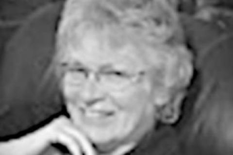 Article Image Alt Text