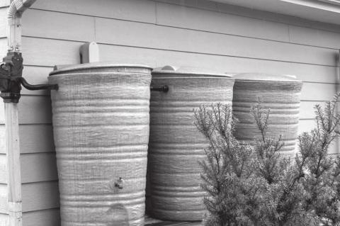 Managing And Capturing Rainwater In The Landscape