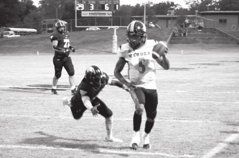 Article Image Alt Text