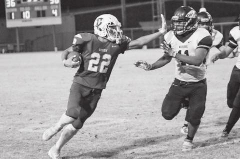 Article Image Alt Text