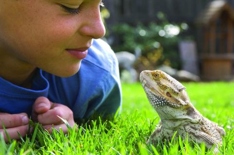 Establishing Kids' Roles in Caring for The Family Pet