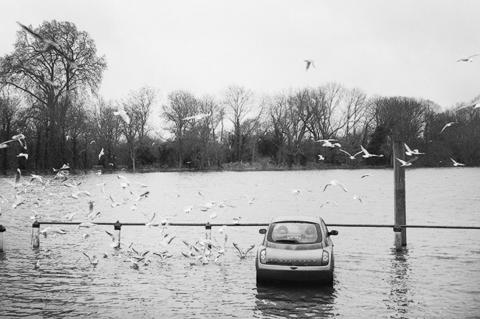 Who To Call When Disaster Strikes