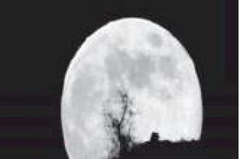 Did You Know About This?