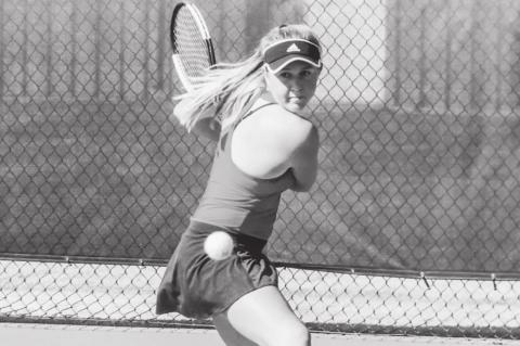 Article Image Alt Text