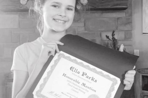 Article Image Alt Text