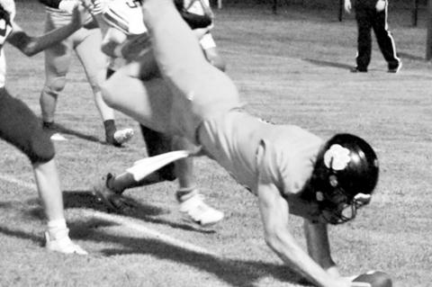 Article Image Alt Text