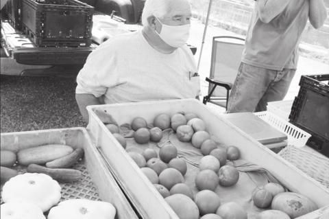 Article Image Alt Text