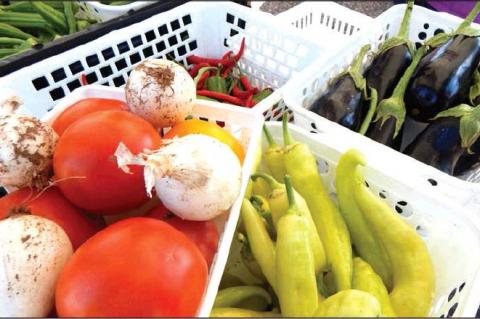 Article Image Alt Text