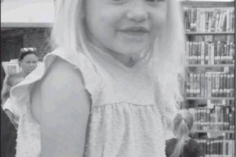 Article Image Alt Text