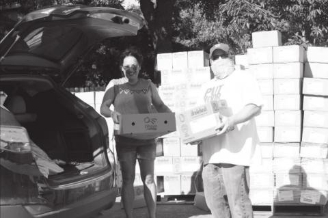 Article Image Alt Text