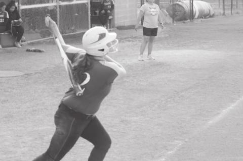 Lady Whippets Win at the LRC Softball Tournament