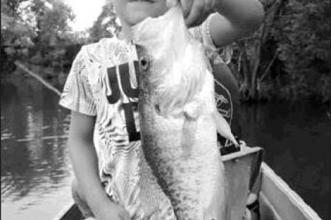 Article Image Alt Text