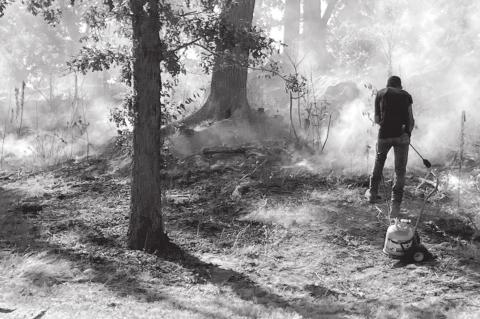 Hot Time in Boom Town