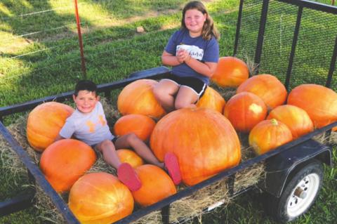 Pumpkin to Talk About…