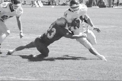 Article Image Alt Text