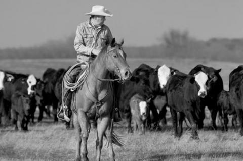 Cyberattack Leaves Oklahoma Beef Producers on Edge