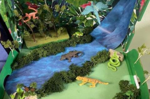 FIFTH GRADE CLASS CREATES ECOSYSTEM DIORAMAS