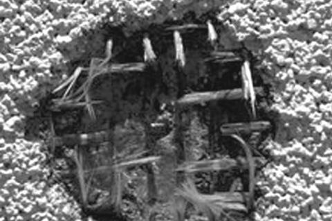 Suspect Arrested After Allegedly Firing at Police