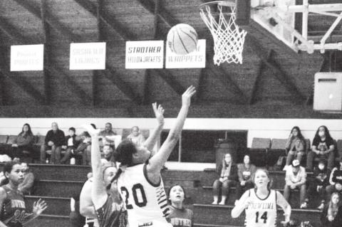 Article Image Alt Text