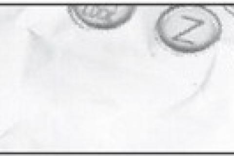 Article Image Alt Text