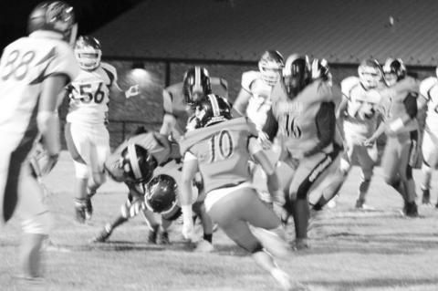 Article Image Alt Text