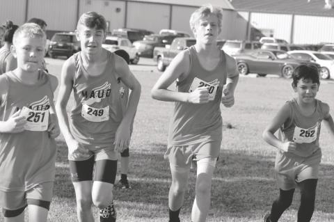 Article Image Alt Text