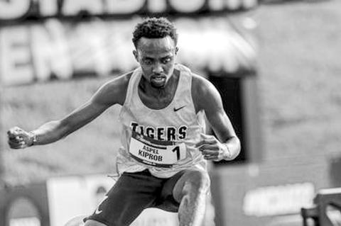 Tigers End Season at NCAA Division II Championships