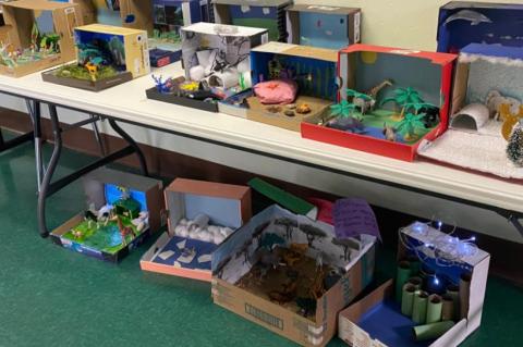 FIFTH GRADE CLASS CREATES ECOSYSTEM DIORAMAS