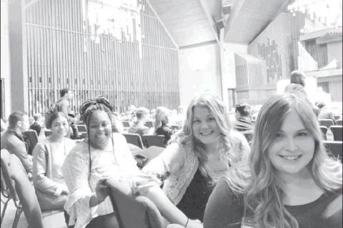 Article Image Alt Text