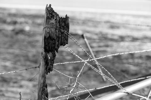 Okla. Wildfire Data Shows Significant Loss of Land, Cattle