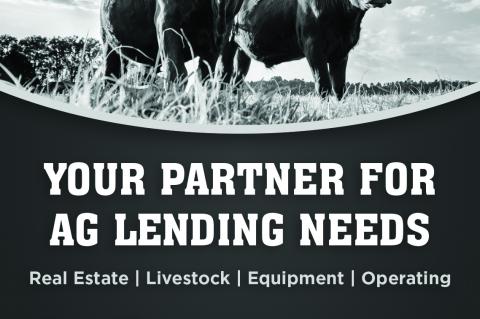 Discover Your Backyarding Personality Type