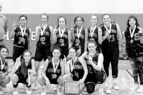 Article Image Alt Text