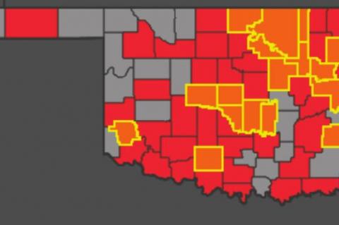 Article Image Alt Text